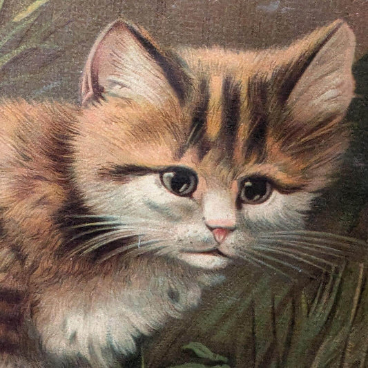 Framed Vintage Victorian Playing Cats Chromolithograph image 1