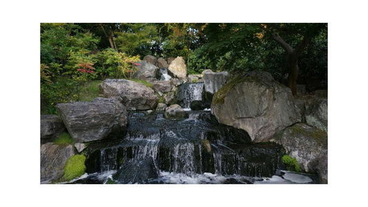 A Day Out in Kensington After Visiting Holland Park and The Kyoto Garden