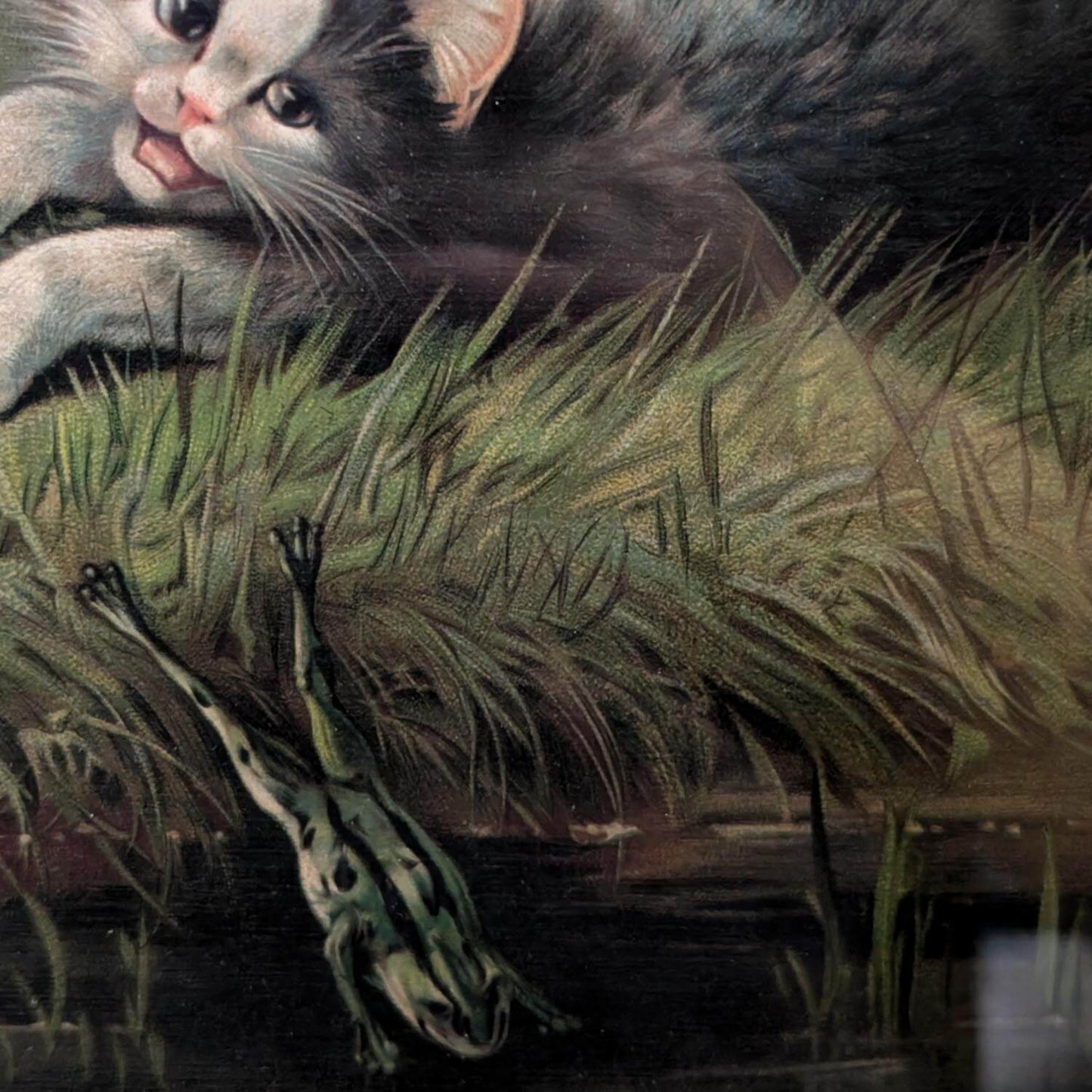 Framed Vintage Victorian Playing Cats Chromolithograph image 2