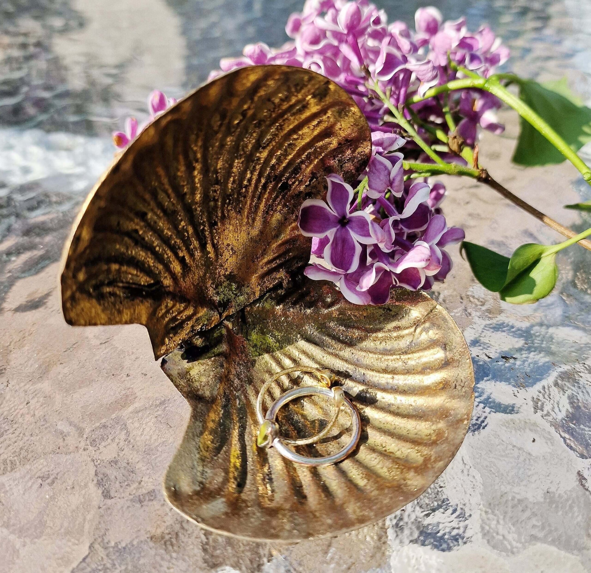 Brass Shell Trinket Dish image 0